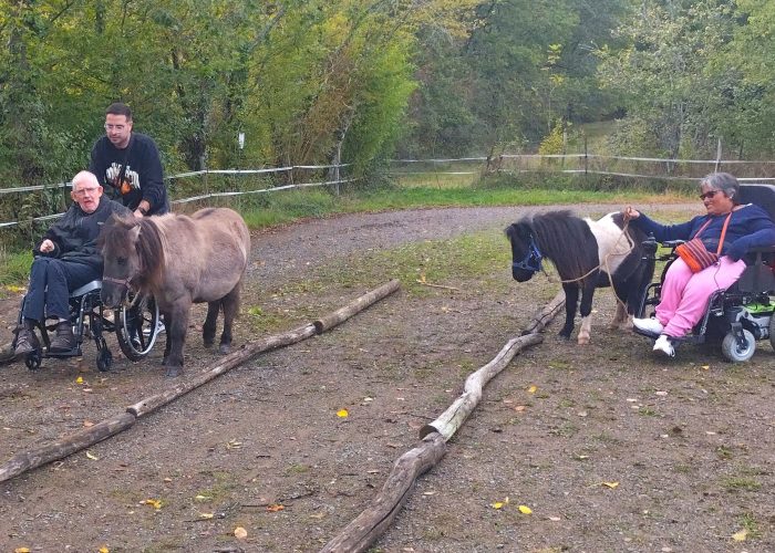 seance équithérapie