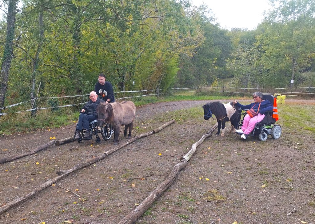 jeux à poneys shetlands.