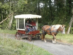 calèche pour fauteuils roulants