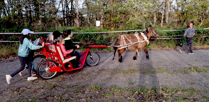 l'escargoline, un attelage adapté aux personnes en situation de handicap