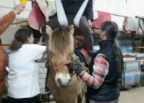 Le Montoir des handicapés