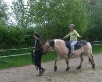 Cheval et handicap