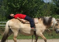 Notion de portance Notion de portance