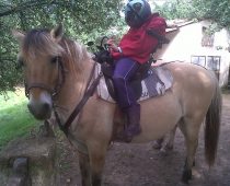 Selle adaptée cheval et handicap