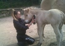 Contact poulain Contact poulain