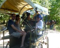 Attelage adaptée handicap