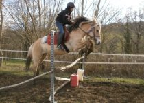 Entrainement au saut d'obstacle