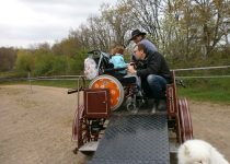 Attelage adaptée handicap