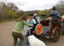 Attelage et Handicap