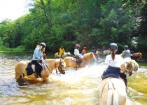 traversée torrents gorges du verdon ferme équestre daoudou aveyron tarn tarn et garonne